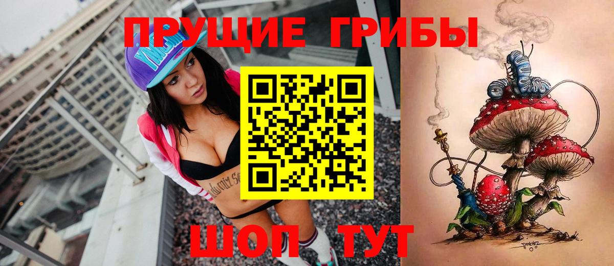 Галлюциногенные грибы прущие грибы Курчатов