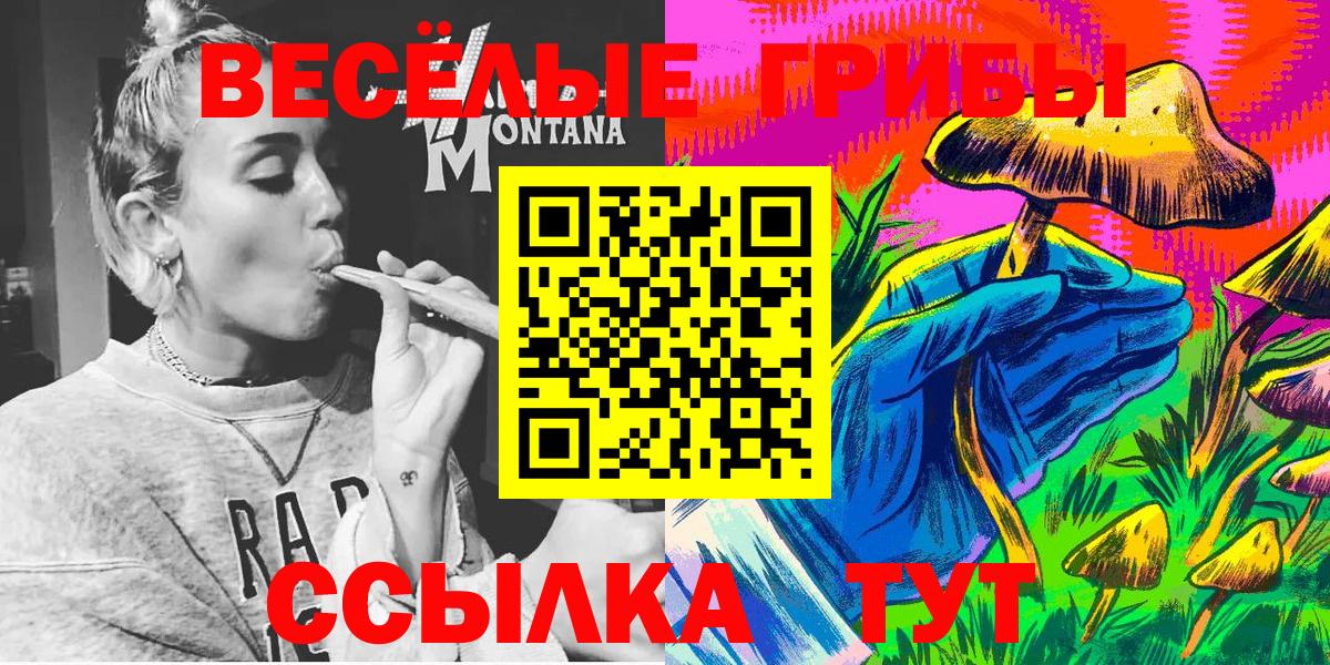 Галлюциногенные грибы Magic Shrooms  Вход с VPN  Курчатов  Псилоцибиновые грибы ЛСД 